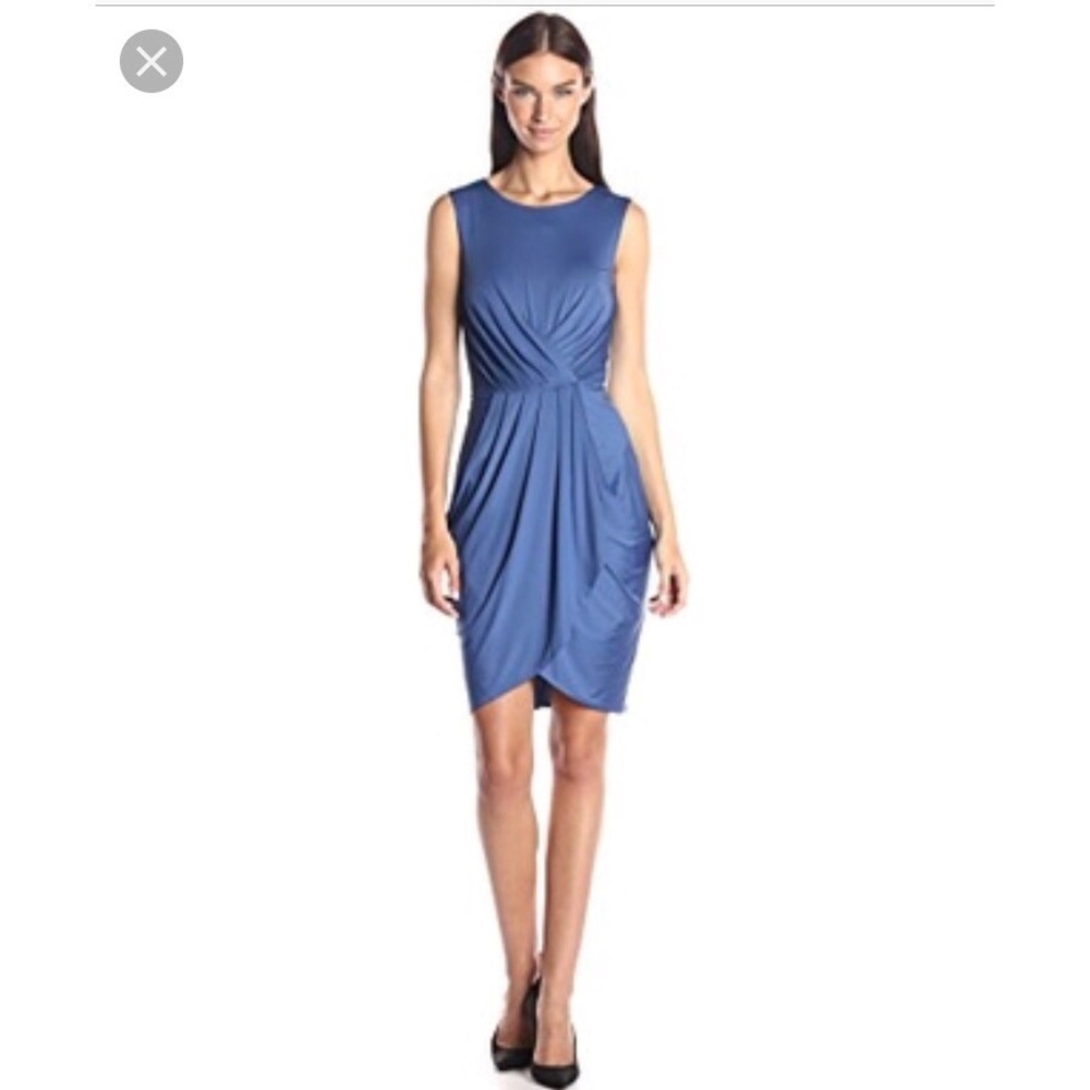 BCBGMax Azria Women's Kaia Dress